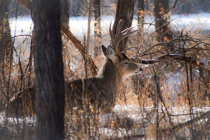 Today’s ColoradoGram.